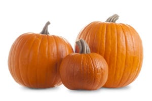 Fall Seasonal Product Sales, Pumpkins